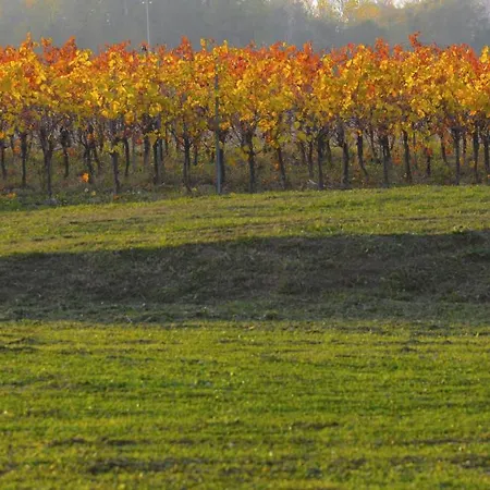 ファームステイ Agrituristico Bianchin Via Trieste 67 Fiumicello-villa Vicentina Sant'Antonio (Udine)