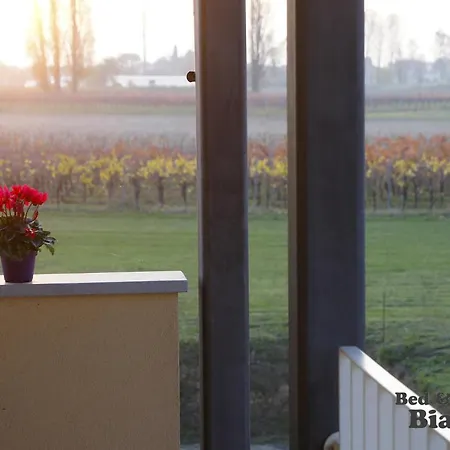 Agrituristico Bianchin Via Trieste 67 Fiumicello-villa Vicentina