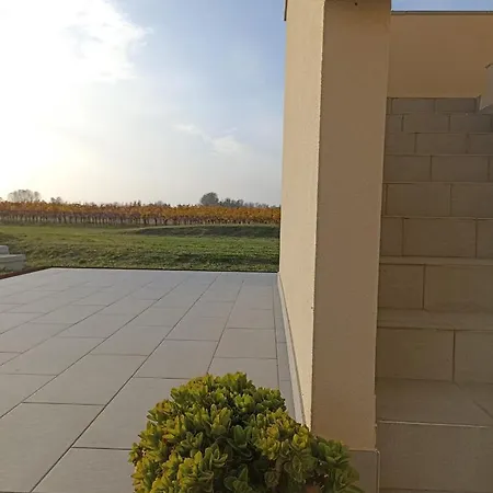 农家乐 Agrituristico Bianchin Via Trieste 67 Fiumicello-villa Vicentina Sant'Antonio (Udine)